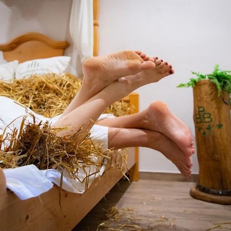 沼泽酒店 Franking 外观 照片